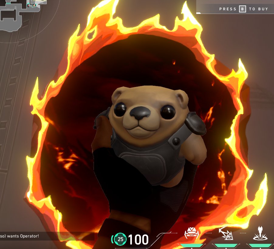 Este osito me representa en mi día a día