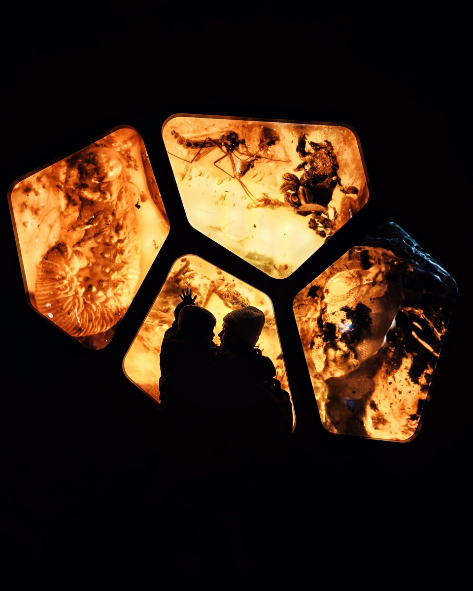 The beautiful city of Gdansk. The architecture, the waterfront, the museums, the history, the people, so much to love :)