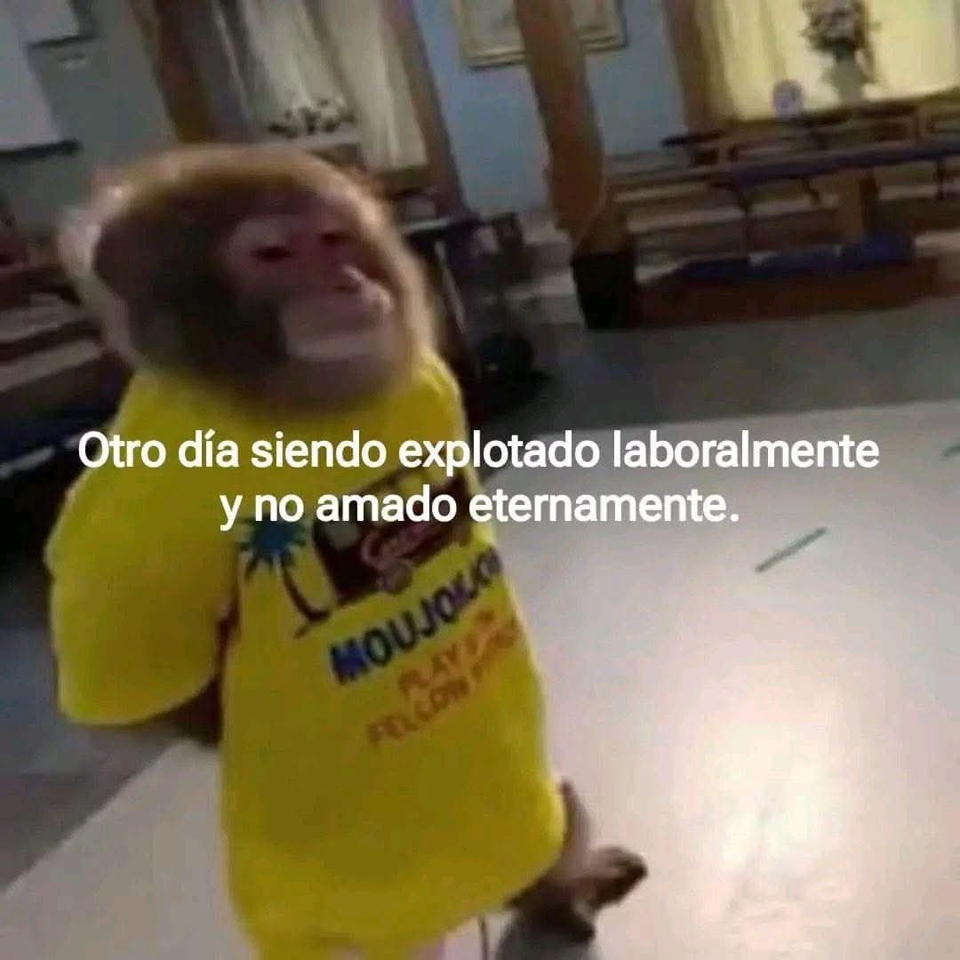 En Júpiter (@en_jupiter_) on Twitter photo 