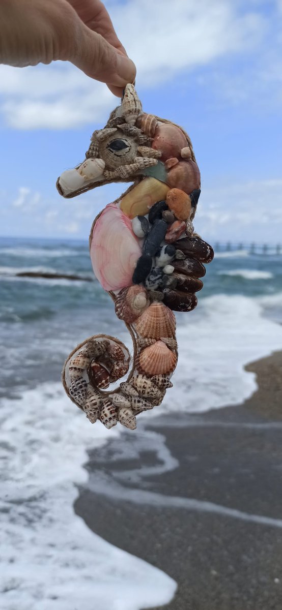Ekateri74082035's tweet image. Forgot to show you this beautiful seashell seahorse. A true stunner!
Welcome to our shop 
shellwoodstone.etsy.com

#SeashellArt #HandmadeDecor #SeahorseDesign #BeachDecor #CoastalStyle #OceanInspired #EtsyShop #Shellwoodstone