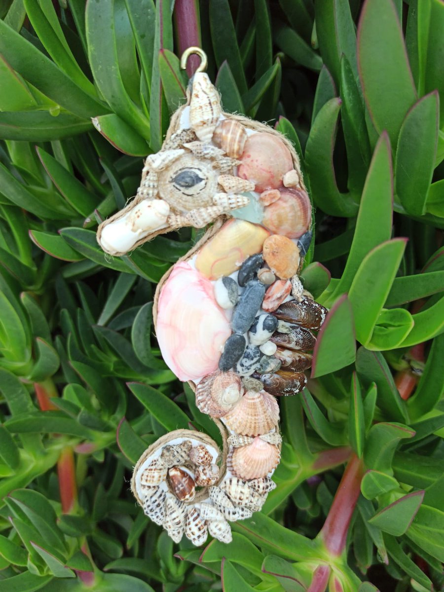 Ekateri74082035's tweet image. Forgot to show you this beautiful seashell seahorse. A true stunner!
Welcome to our shop 
shellwoodstone.etsy.com

#SeashellArt #HandmadeDecor #SeahorseDesign #BeachDecor #CoastalStyle #OceanInspired #EtsyShop #Shellwoodstone