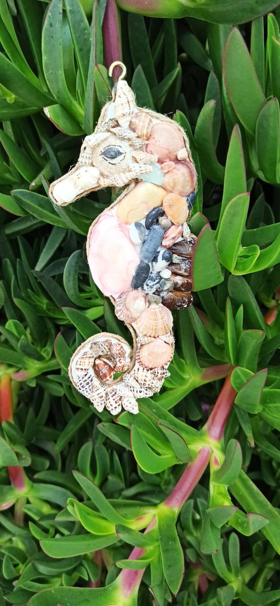 Ekateri74082035's tweet image. Forgot to show you this beautiful seashell seahorse. A true stunner!
Welcome to our shop 
shellwoodstone.etsy.com

#SeashellArt #HandmadeDecor #SeahorseDesign #BeachDecor #CoastalStyle #OceanInspired #EtsyShop #Shellwoodstone