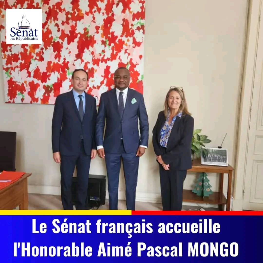 LOTULIA Préféré tweet media