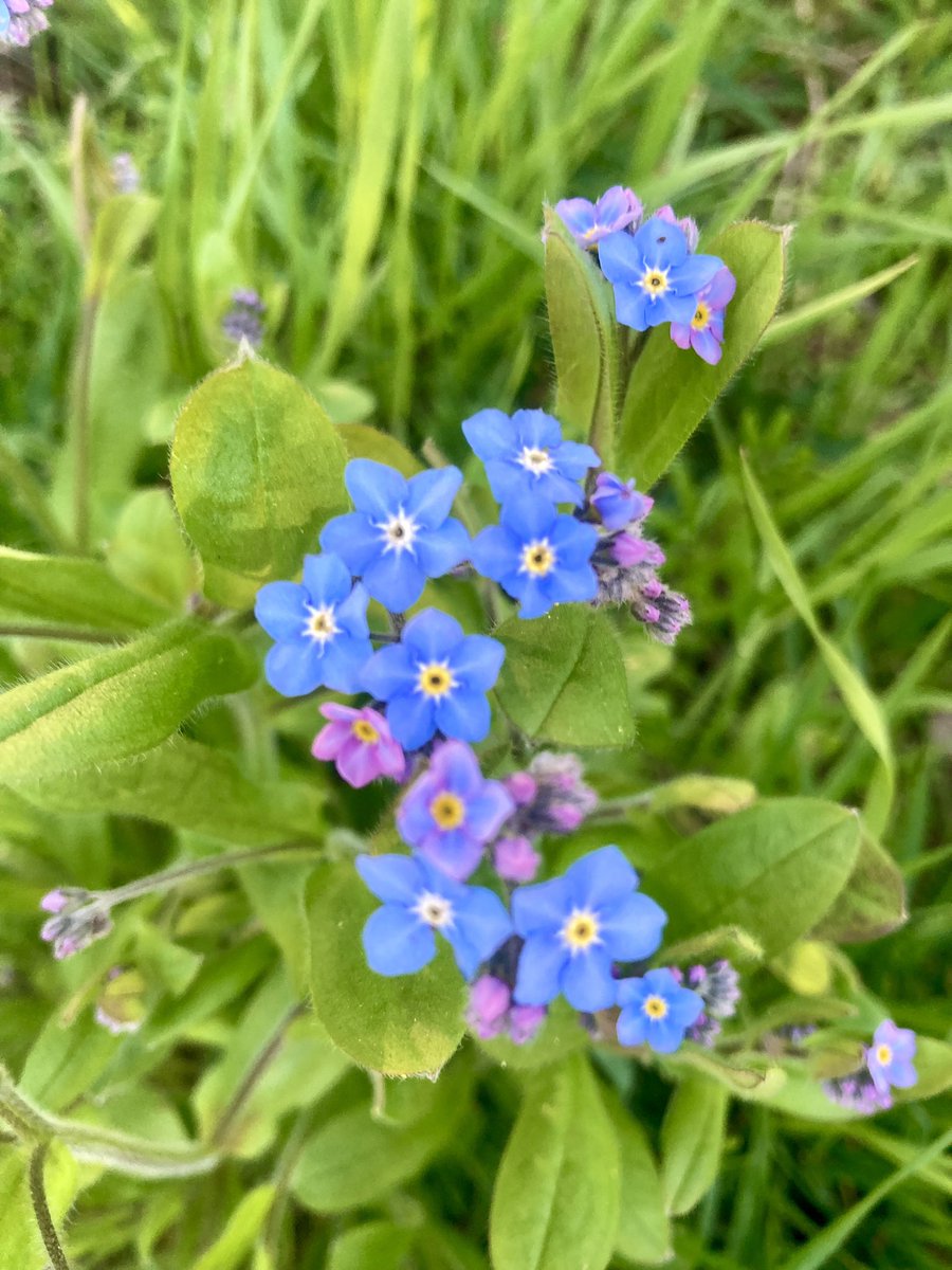 Global Birdfair (@globalbirdfair) on Twitter photo ๐๏ธ Donโt Forget to buy your Global Birdfair tickets soon
๐ณBe inspired by many aspects of nature
๐ฆBirds
๐ปFlowers
๐ฆInsects
๐ฆ Mammals and even
๐ Fish
This yearโs conservation project for <a href="/BirdLife_News/">BirdLife International</a> is
๐Safeguarding Ocean Species
globalbirdfair.org
๐Donโt miss out! ๐๏ธ Donโt Forget to buy your Global Birdfair tickets soon
๐ณBe inspired by many aspects of nature
๐ฆBirds
๐ปFlowers
๐ฆInsects
๐ฆ Mammals and even
๐ Fish
This yearโs conservation project for <a href="/BirdLife_News/">BirdLife International</a> is
๐Safeguarding Ocean Species
globalbirdfair.org
๐Donโt miss out!