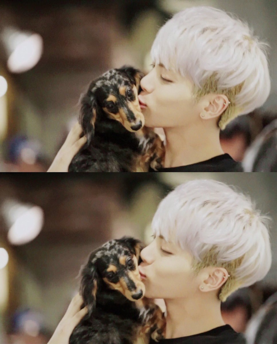 aodyd87's tweet photo. 종현아 생일 축하해♡
네가 태어난 널 닮은 계절이 또 벌써 왔네
많이많이 보고싶어 사랑해 https://t.co/2GIZ6FARbf