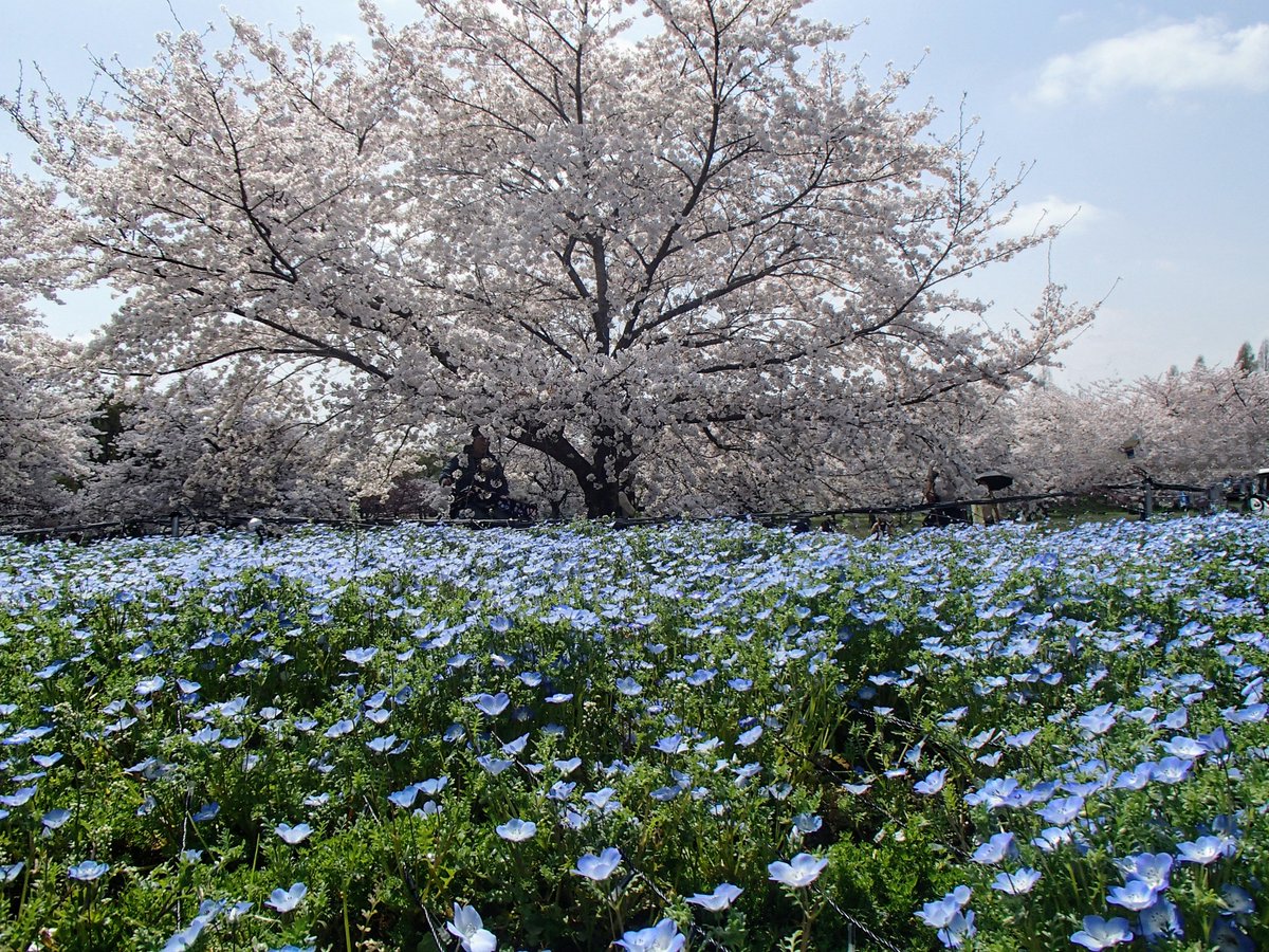 Y.Takahashi tweet media