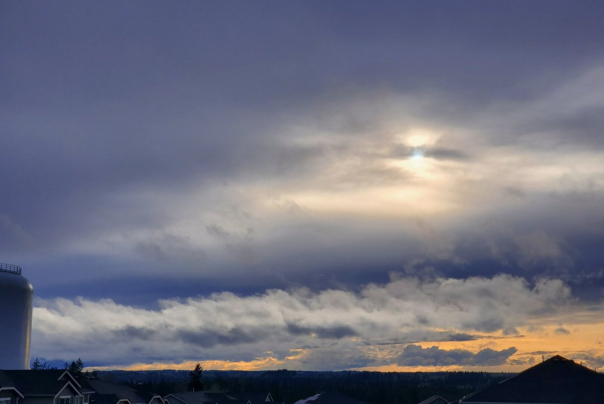 CAS369741's tweet image. Sun trying to show through near sunset. Lots of rain today.
20250407 1820 #pnw