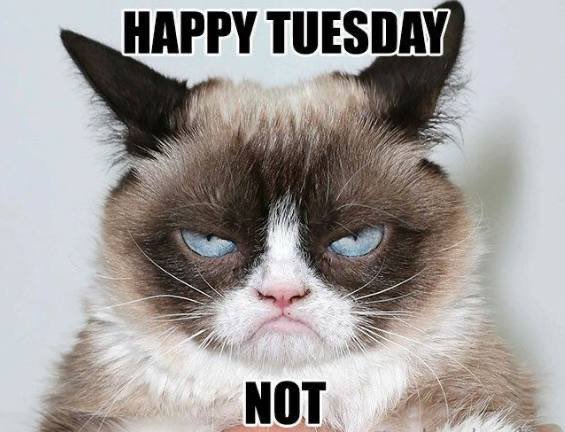 grumpy_xrpl's tweet photo. Mornin’.
Yeah, the market’s trash.
We’re all a bit grumpy.
But it’s just a matter of time.
Believe that.
Grumpy ain’t scared.
Aight, back to sleep now.
#XRP #Crypto #GrumpyVibes
#GRUMPYCAT #XRPL https://t.co/ZOa5qplu3D