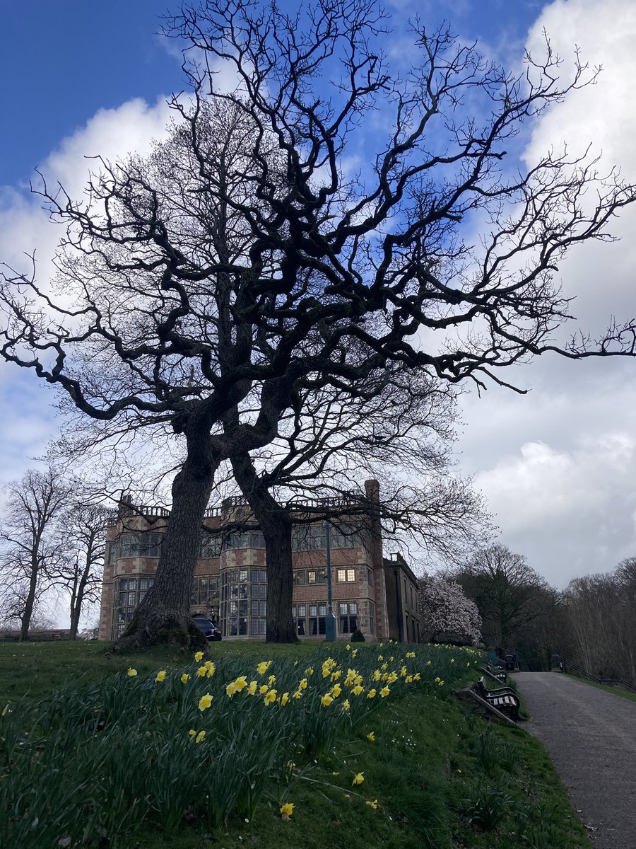 MoleyME 🦔 (@moleymecaroline) on Twitter photo These trees look like they are hugging each other ! #thicktrunktuesday <a href="/InChorley/">Chorley in Pictures</a> These trees look like they are hugging each other ! #thicktrunktuesday <a href="/InChorley/">Chorley in Pictures</a>