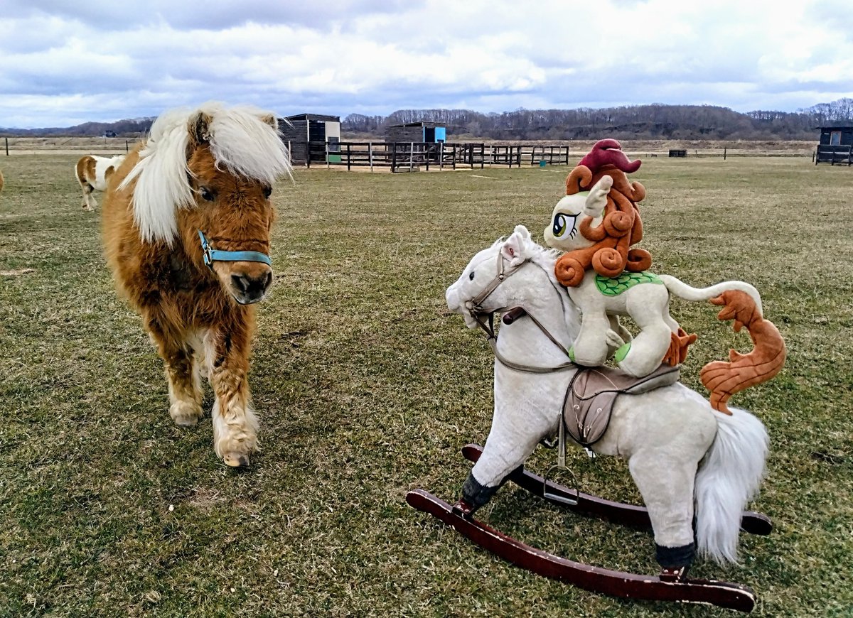 布麒麟 tweet media