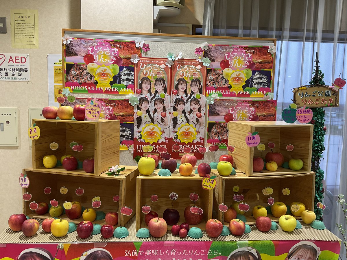 hi_applepark's tweet photo. りんご公園で作られている80種類あるうちの『45種類のりんご』です🍎🍏

なんと全部本物のりんごです❗️

お越しの際は、ぜひ近くで見てみてください✨

#りんご公園　#りんご　#45種類 https://t.co/jfLc2En9m7