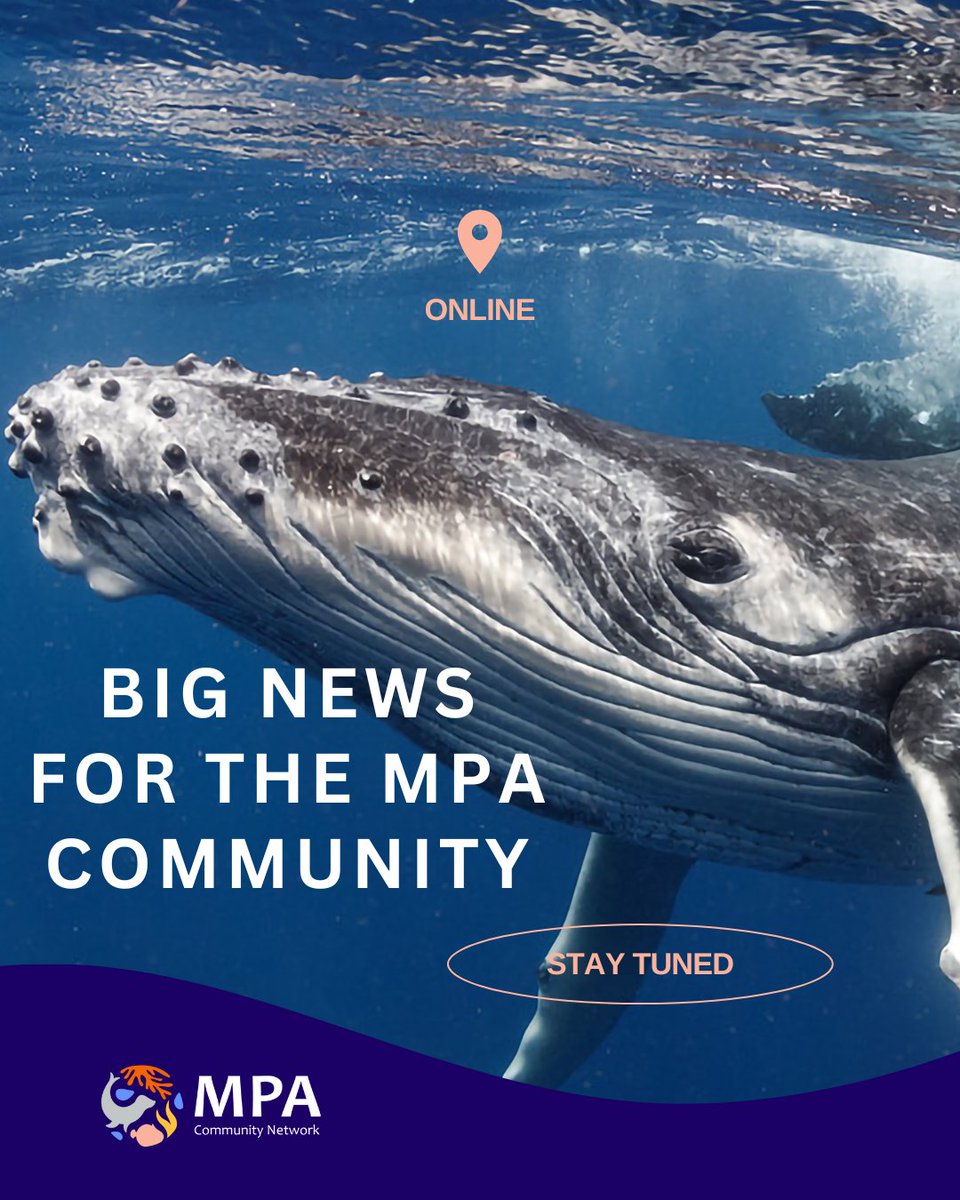 🌊 The #MPACommunityNetwork is coming soon! A new space for #MPA managers &amp; #Conservation #experts to connect, share tools &amp; best practices, and grow impact. 🚀

 Stay tuned! 
#MarineConservation #Networking #ResourceHub