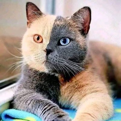 #NewProfilePic