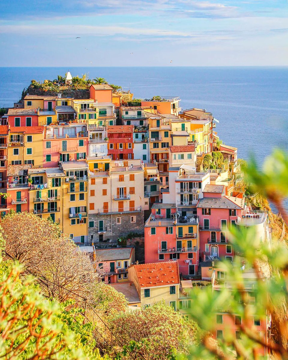 ThompsonRi2453's tweet image. Manarola, Cinque Terre