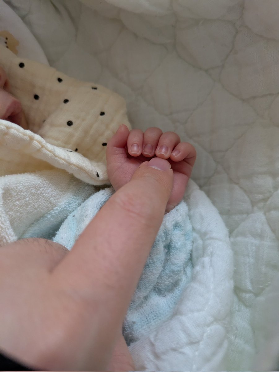 ndo0's tweet photo. この度、双子の父となりました。
長い妊娠期間を耐えてくれた妻に最大の感謝。
これからとーちゃん頑張るで https://t.co/WOTFXgtDqG