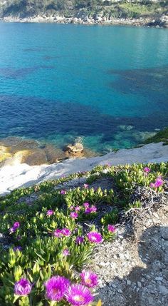 MariaLu91149151's tweet photo. Buongiornooooooooo mattinieri ☕️ 🩵 🩵🩵🩵🩵🩵🩵🩵Isola d'Elba https://t.co/KY8SxT6sD2