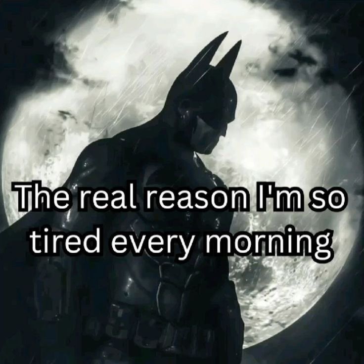 xiirill's tweet image. 