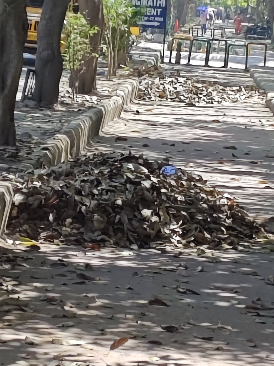 nowitsvashu's tweet photo. Dear @noida_authority, it's been a month, and the litter is piling up. When will this be cleaned? The residents deserve better! #CleanNoida #SwachhBharat
@CeoNoida
Location - Sushil Marg Near Embassy Galaxy Business Park, Noida Sector 62 https://t.co/7V2ykuLNRE