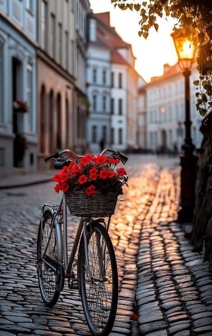 Beautiful Morning X Friend's...!
Stay Connected...🤝