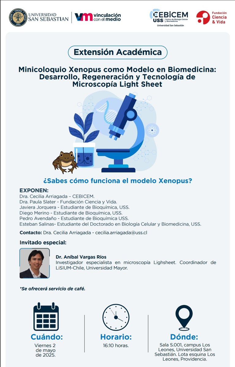 anvargasr's tweet image. Muchas gracias @cecy_arriagadam por la invitación!

Ahí estaremos compartiendo la experiencia de la microscopía Light Sheet en este interesante modelo de investigación 🐸

#spreadtheknowledge
#southamericanlightsheet

@LatamBioimaging
@cziscience
@LiSIUM_Chile