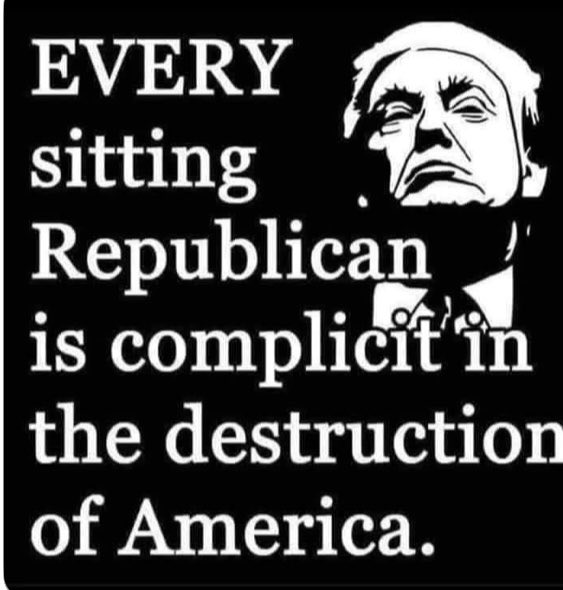 Every single one of them! 🤬