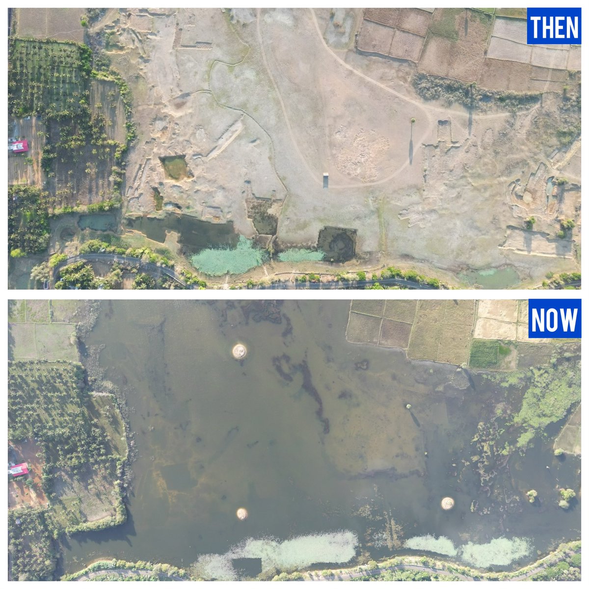 being_nimal's tweet image. “Our 201st waterbody restoration project - Kuruvikkarambai Periya Kulam Lake.

This is the before and after pictures of Kuruvikkarambai Periya kulam. The lake is situated in Kuruvikkarambai village, Peravurani Taluk, Thanjavur district, Tamilnadu.

Area of the lake: 118 acres…