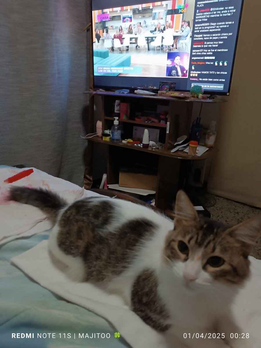 mjmajito's tweet photo. @Poggi #GHXPOGGI #GH2025 Holaaaa poggiiiii 🐥🐤🐥🐤 Acá te estamos mirando desde Uruguay 🇺🇾 con Cenk  Te amamos poggii 🐥😸 AGUANTE TATO PAPUNN LUCHI MARTU DEVI Y LUZ 😸🐤🐥🥳🇺🇾 https://t.co/WVgrDbzjfe