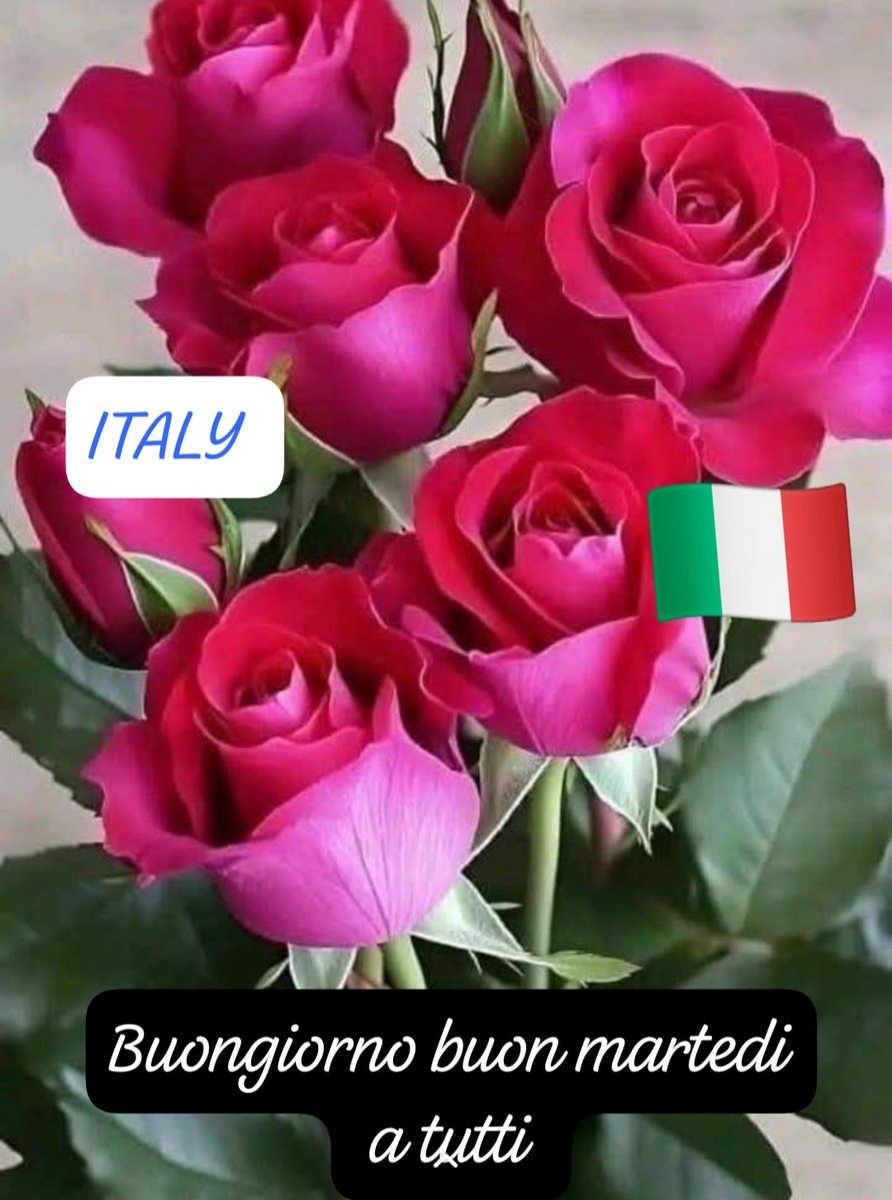 Cristóbal Peña tweet media