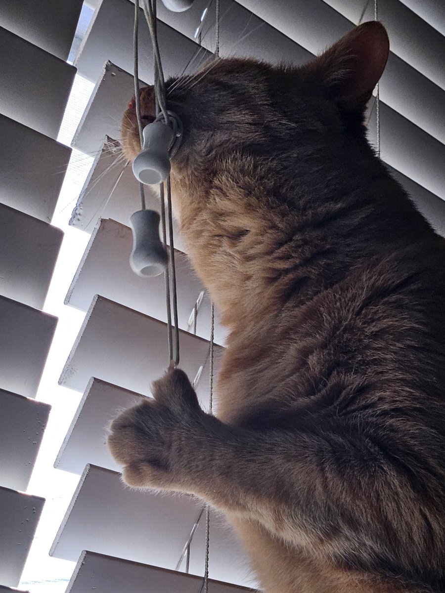 Bet Mama will listen To me NOW 😹