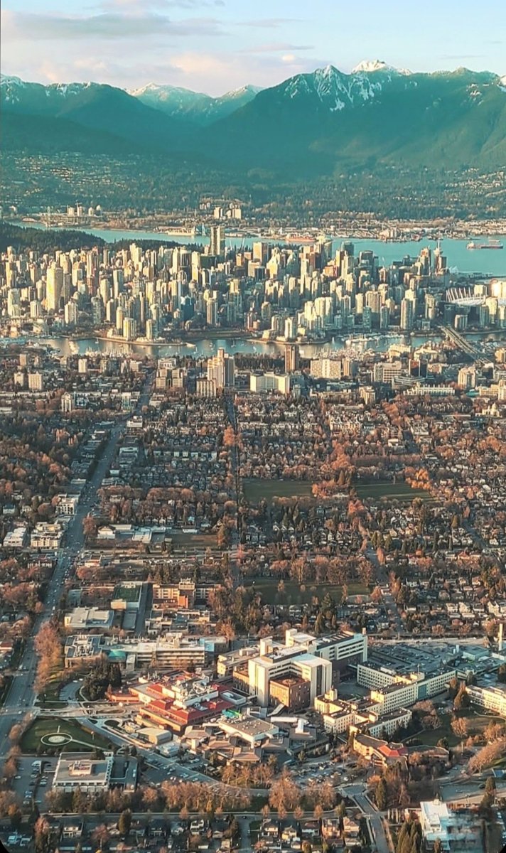 TrafficTrish 🚁 tweet media