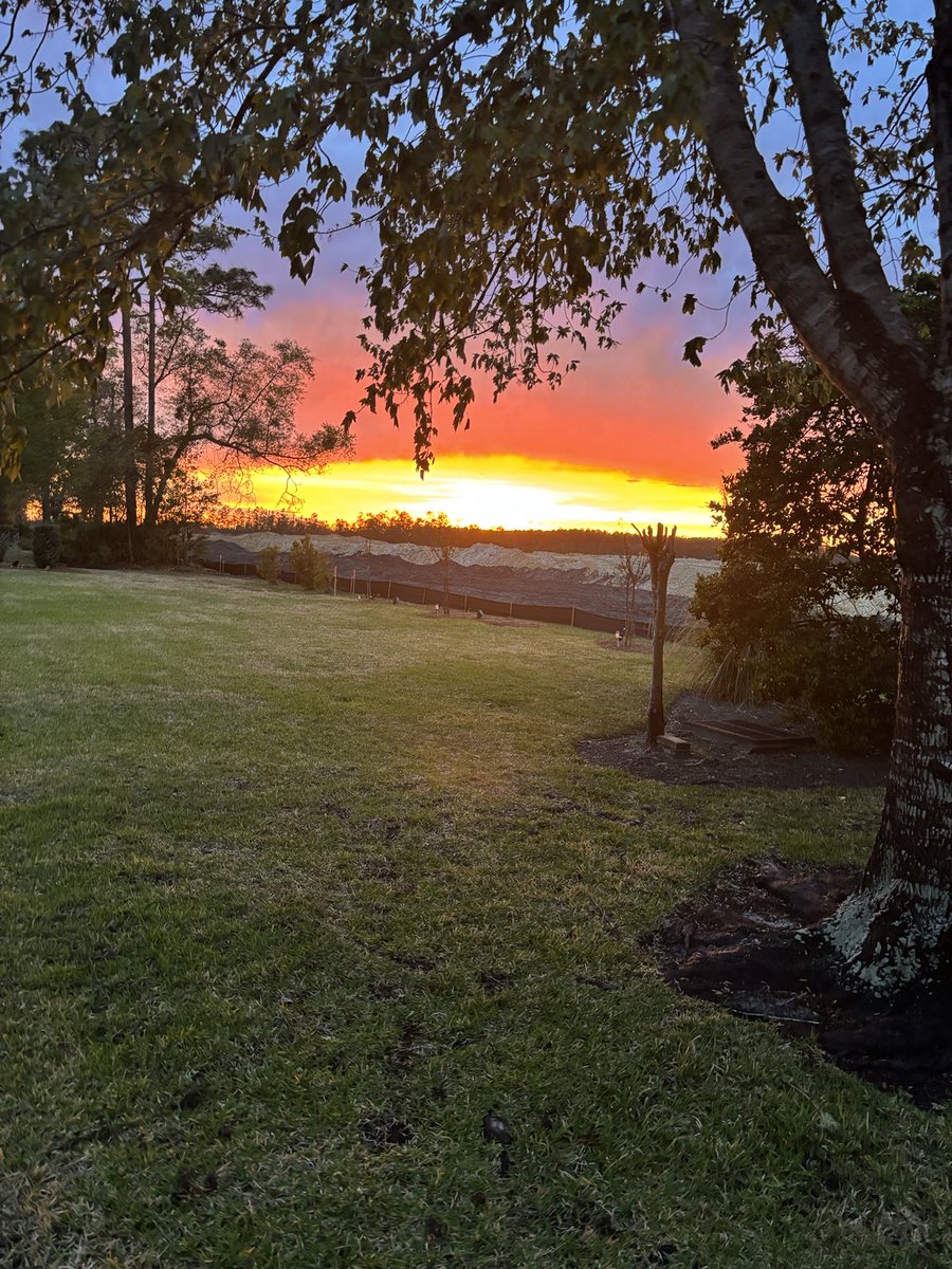 Miss Pat tweet media