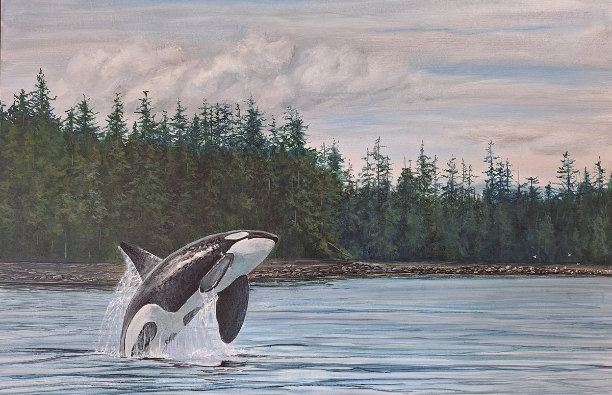 kathyharde57350's tweet photo. A Coastal High Rise’—whale leaps in realistic wild power, painted from my Vancouver Island studio. Follow for more! https://t.co/ansn5cmilp #RealismArt #WildlifePainting #NatureArt #CoastalArt #VancouverIslandArt #ArtCommunity https://t.co/SikFQtdjkd