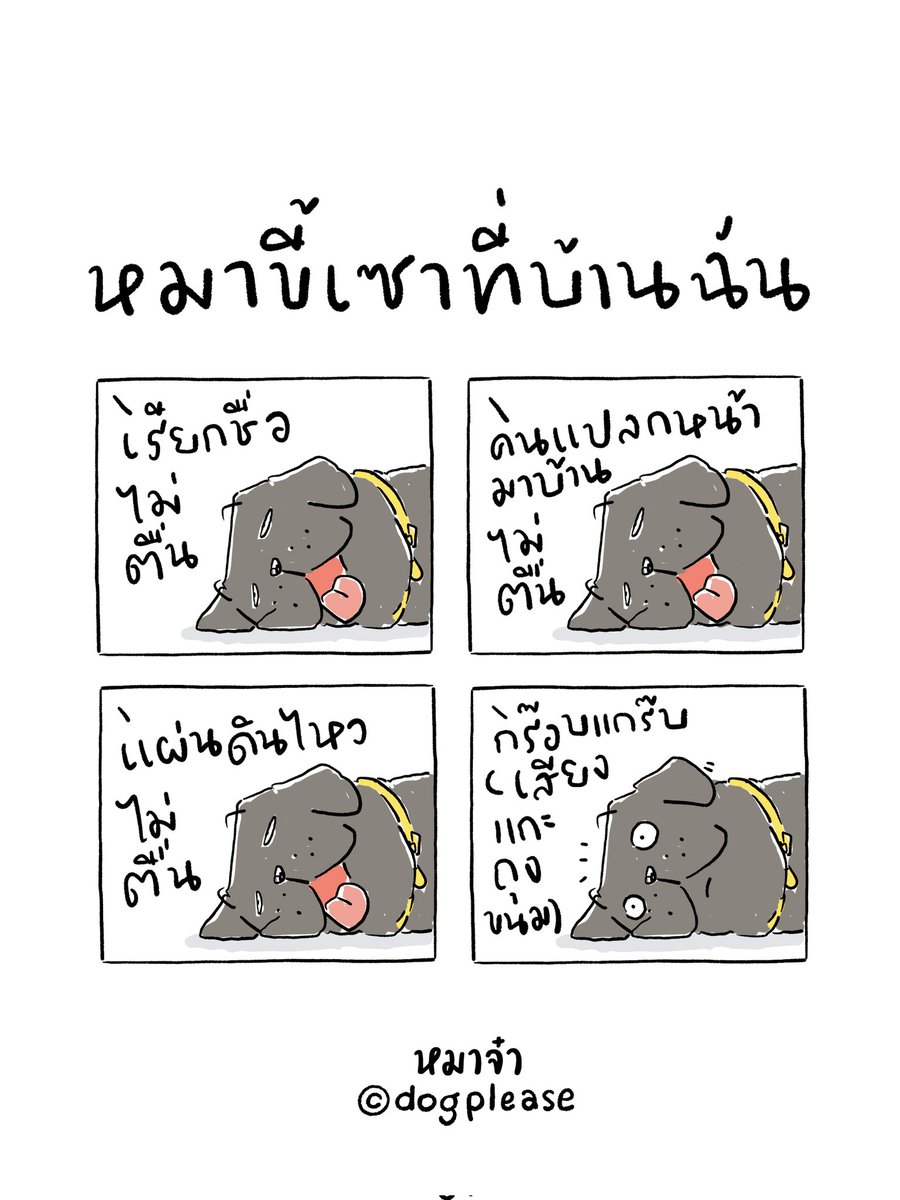 หมาจ๋า (@dogplease2013) on Twitter photo 