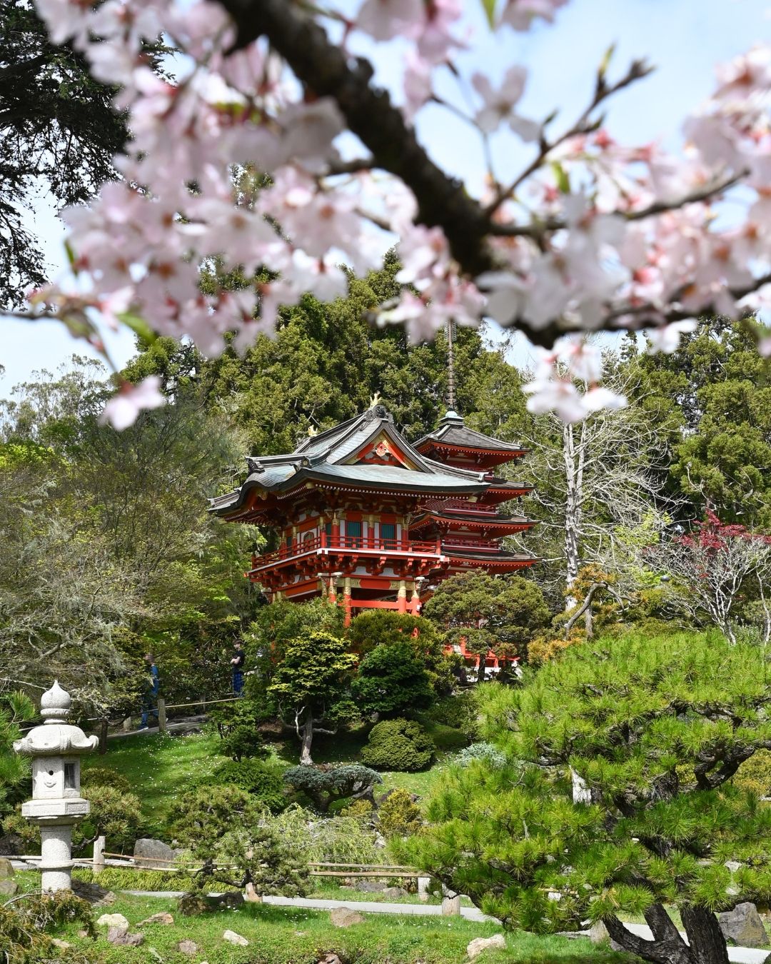 【上品】 Japanese Tea Garden on X:  その他