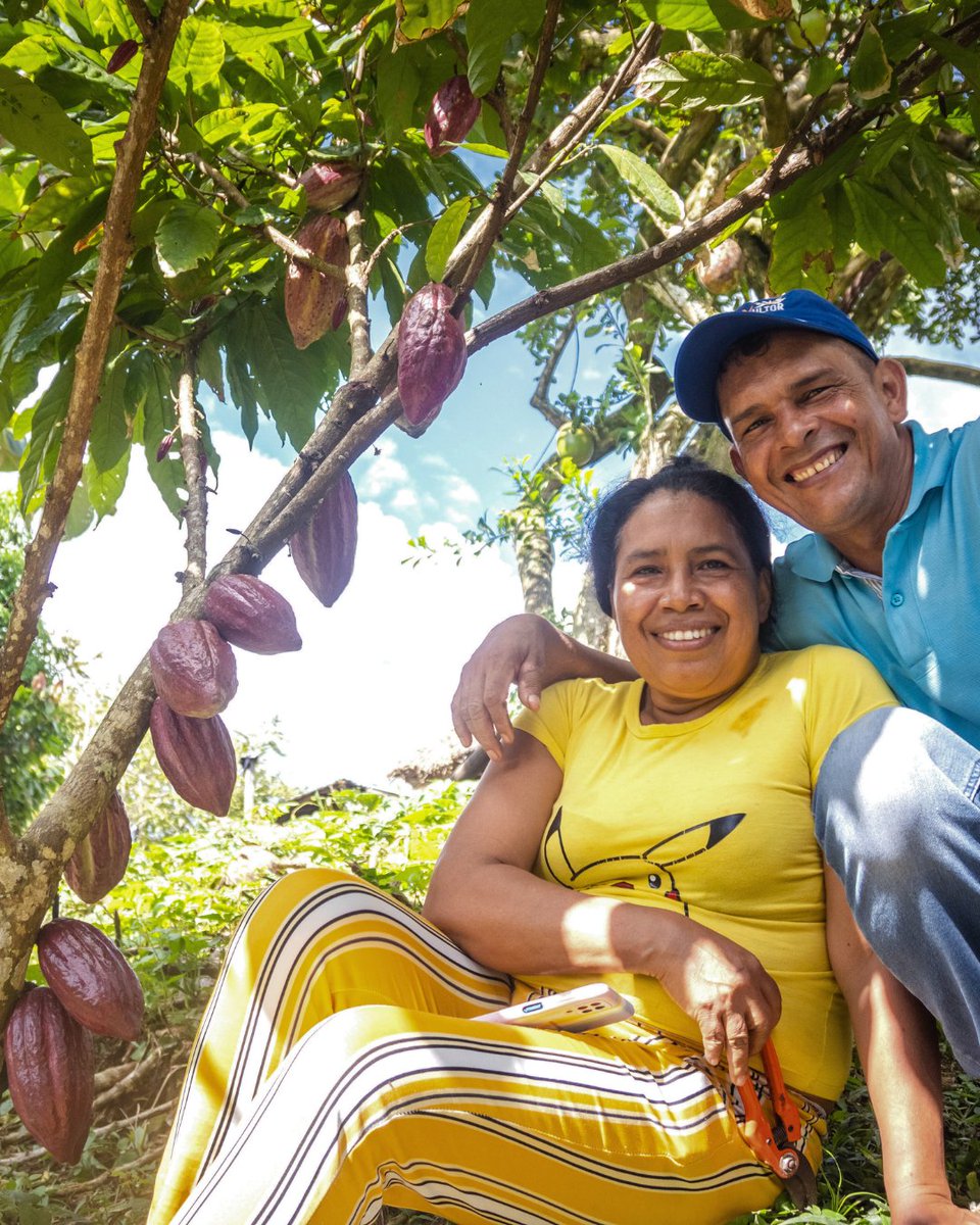 2024 sustainability highlights! 🌍

✅1,397 cacao families increased income
✅4,320 families impacted by education &amp; entrepreneurship
✅22% reduction on scope 1 and 2 in carbon emissions
✅EUDR compliance ahead of schedule!

Read the full report bit.ly/3RrSkqj