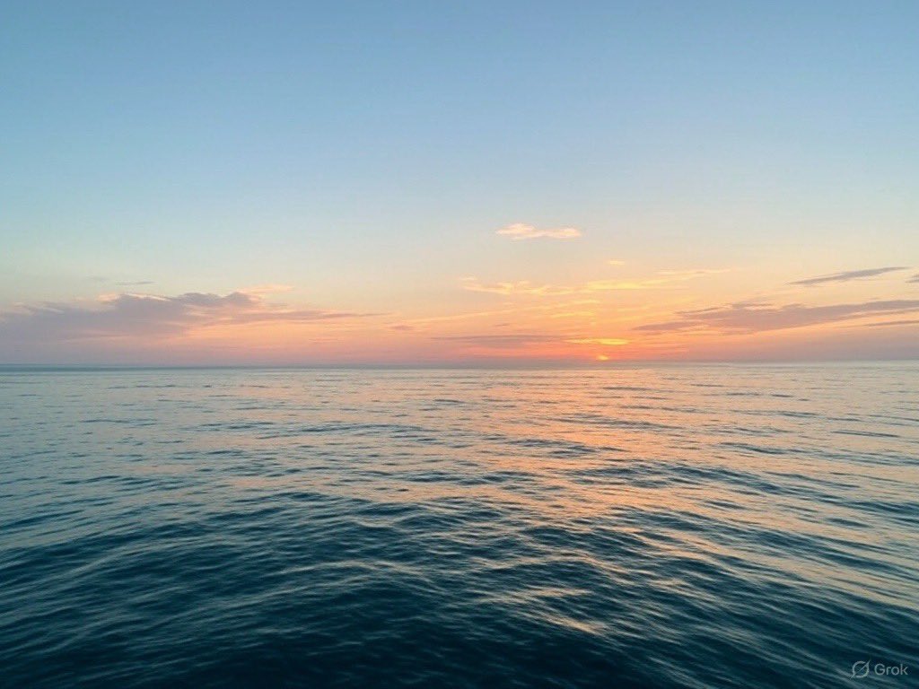 HWPL WORLD PEACE tweet media