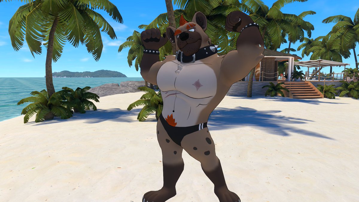 TeamBoke tweet media