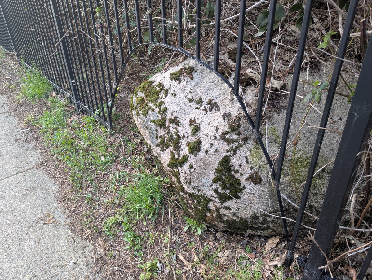 Stephen Loney tweet media