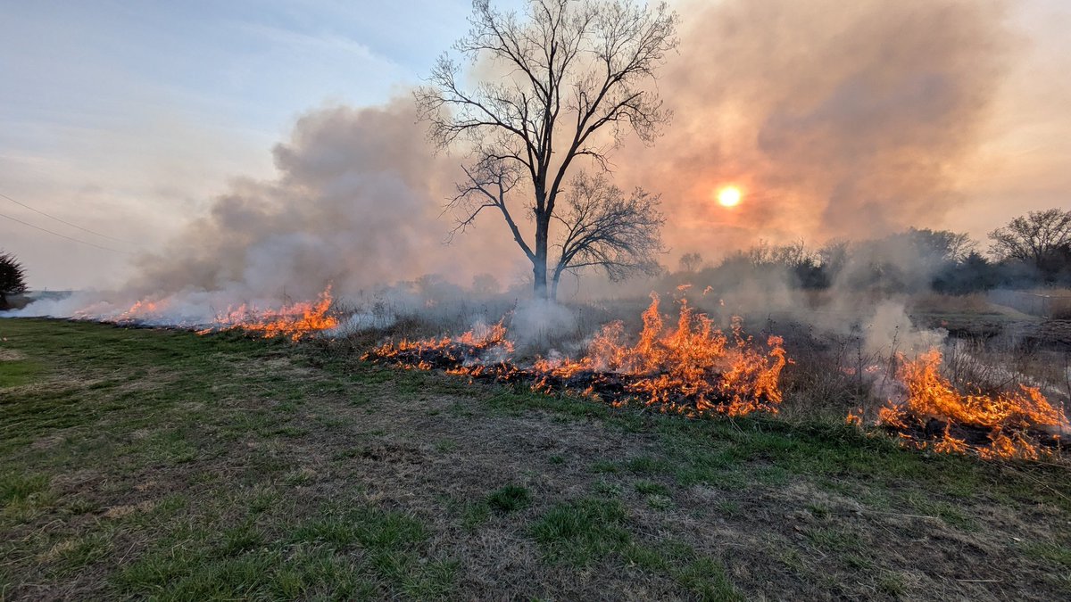 Ben Neely tweet media