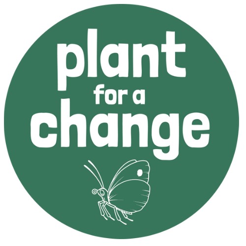 ARochaUSA's tweet photo. 🌱Plant for a Change is a neurodiverse team that sells native seeds, seeking to honor both God and Creation.

If you use the following link and the code "AROCHA," you will get 10% off your purchase, and PfaC will donate 10% of the proceeds to A Rocha USA!

https://t.co/6t4O2xVpma https://t.co/VogKucVh9p