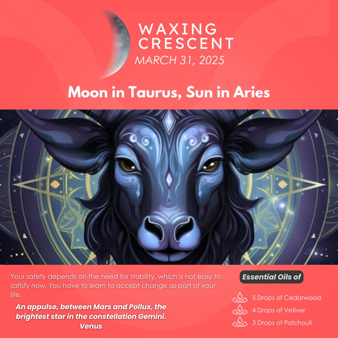 thetonyadee's tweet image. Current Moon is in Taurus:
Your safety depends on the need for stability, which is not easy to satisfy now. You have to learn to accept change as part of your life. 
youtu.be/FOmrVmFfZKI

#MoonInTaurus  #EmbraceChange