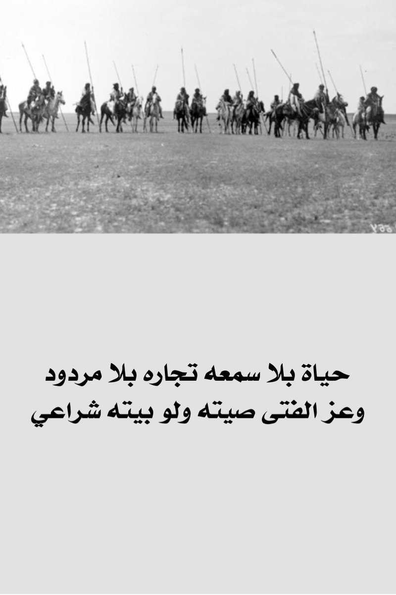 vip خاص نوادرالابل (@vib151515) on Twitter photo 