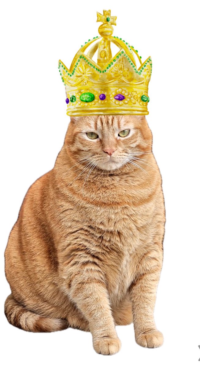 <a href="/cheetoandblaze/">Cheeto and Blaze - Orange Tabby Hurricanes!</a>