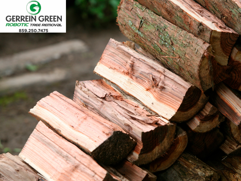 GerreinG's tweet image. Oak Wilt: Protecting Your Trees with Gerrein Green

🔥 Don’t Let Firewood Spread Oak Wilt!
Moving infected firewood is one of the leading ways oak wilt spreads to new areas. 
#BuyLocalBurnLocal #OakWiltPrevention #TreeCare #GerreinGreen #NorthernKentucky
gerreingreen.com/oak-wilt-prote…