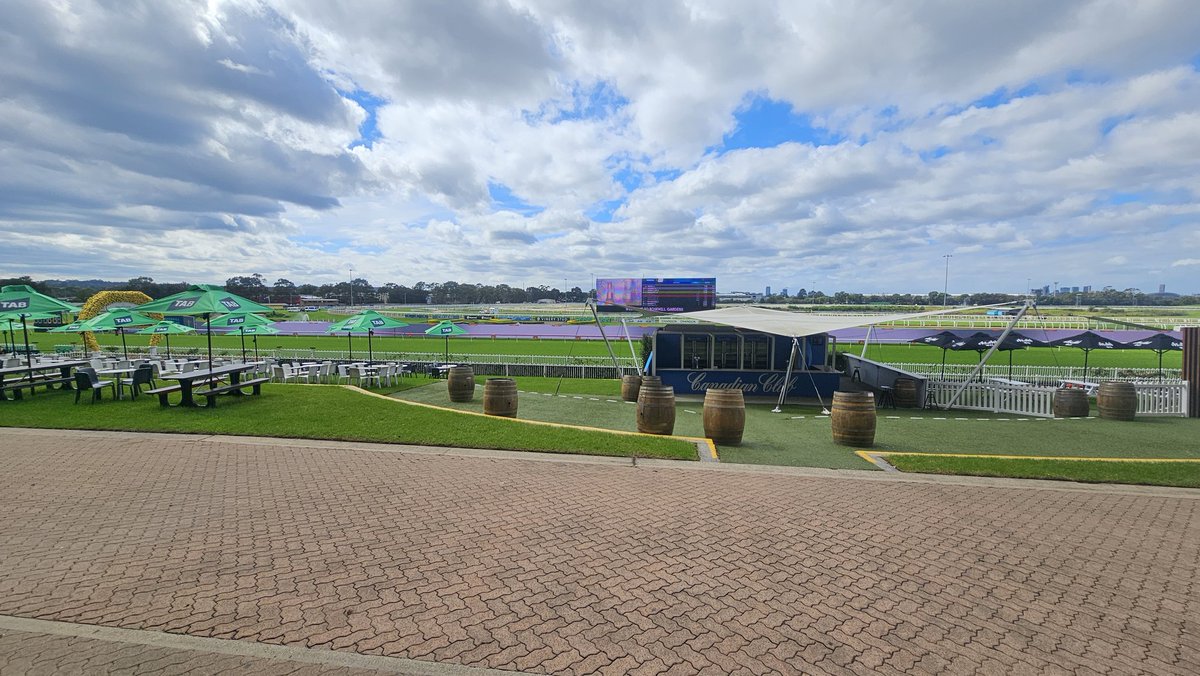 Race day @ Rosehill #SumoStar