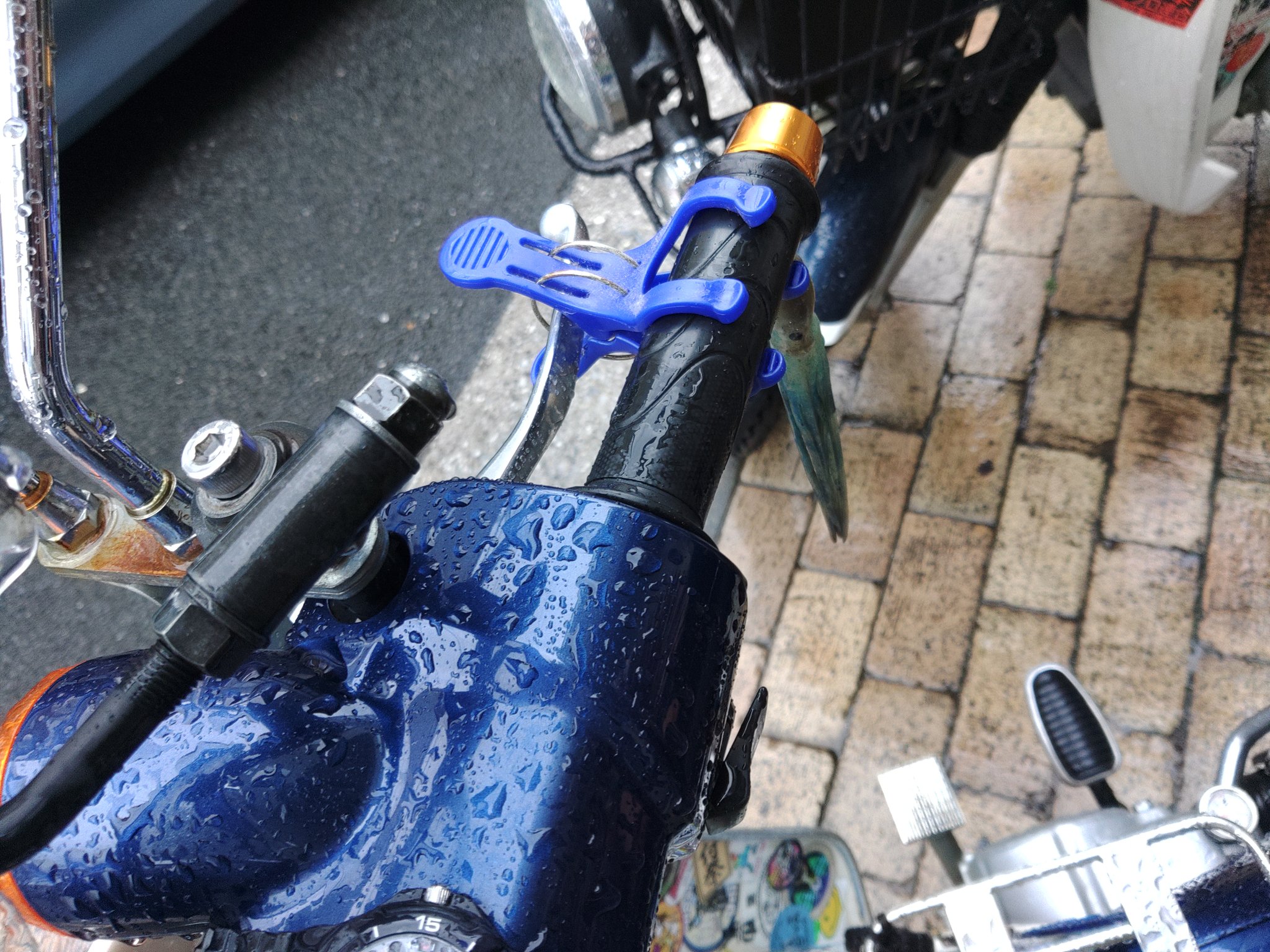 極上 しゃれこうべ根付 25g 東里7-0813⭐︎2F 極上 しゃれこうべ