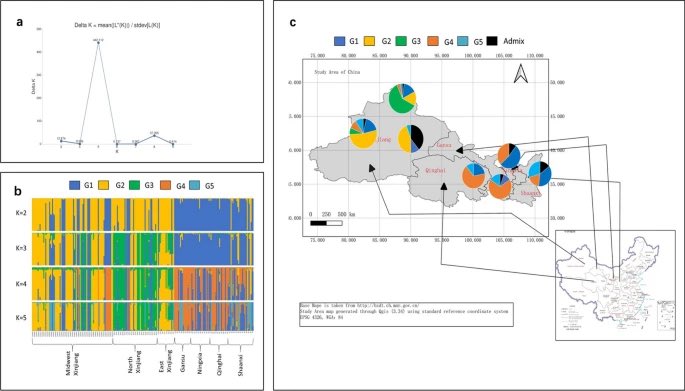 PhytopatholRes's tweet image. #Wheat #Xinjiang #Geneflow #Population #Rust 

Genotyping reveals high genotypic diversity and potential migration pattern of Puccinia striiformis f. sp. tritici populations in Xinjiang and Northwest epidemic regions of China

phytopatholres.biomedcentral.com/articles/10.11…
