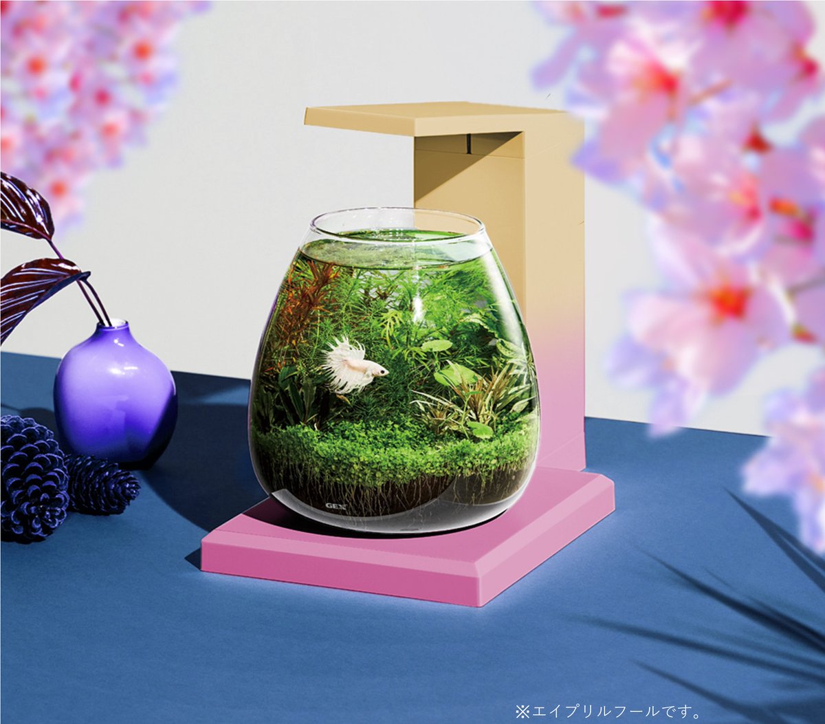 gex_petlife's tweet photo. GEXの大人気商品が新しくなりました！？

🐟2025年4月1日(火) 限定発売🐟
\\グラスアクア PERCO Spring//

この春にぴったりのPERCOで
お部屋を春色にしてみませんか？🌸

ほしい！という方はリポスト🔄
#エイプリルフール
#gex https://t.co/FDGfsmxGwT