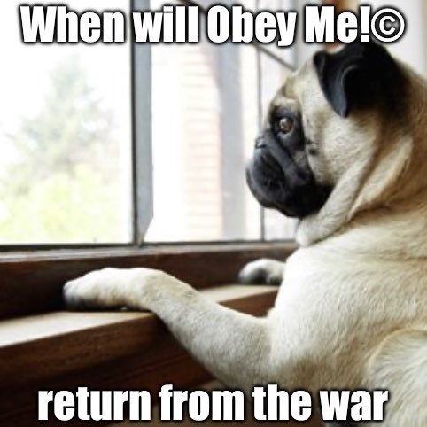 NeedMoreDreams's tweet photo. @ObeyMeOfficial1 https://t.co/WJxNyLRJzd