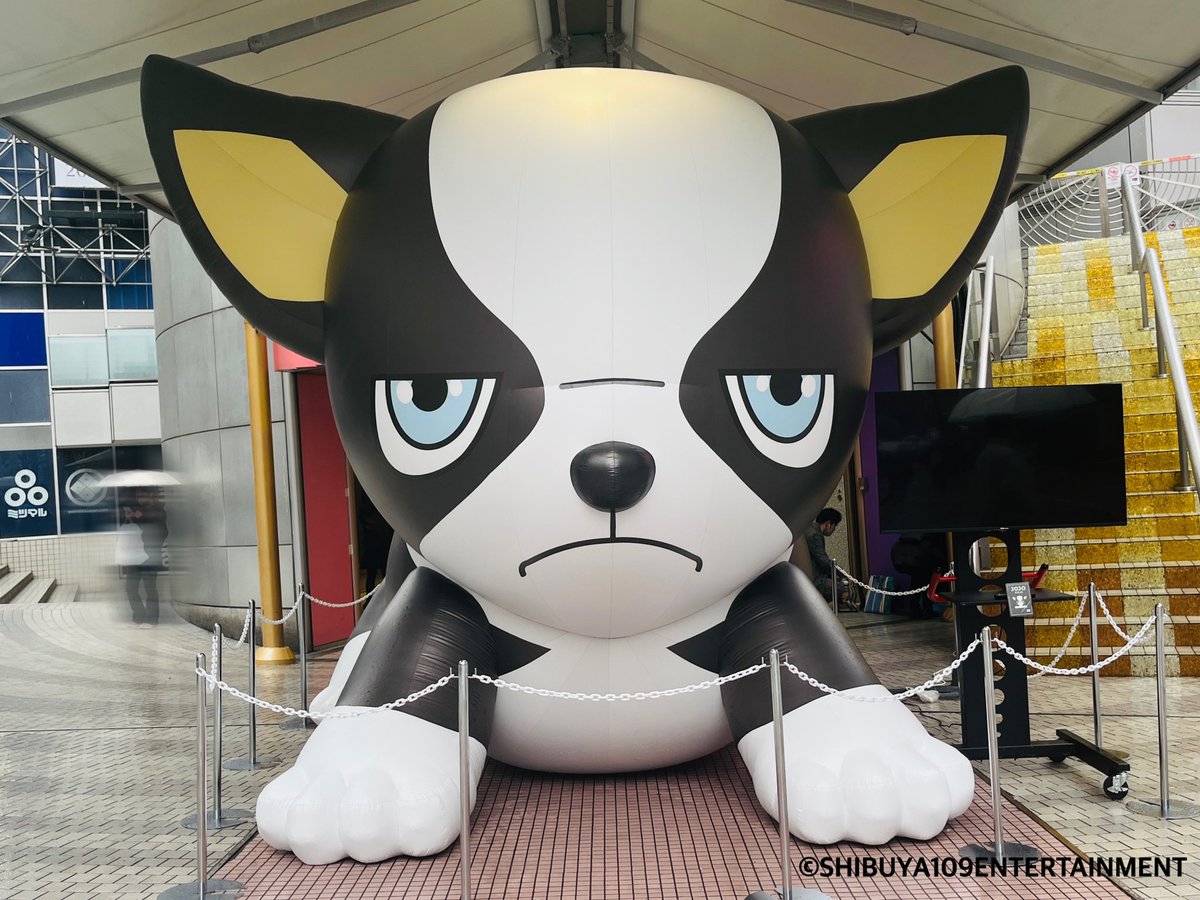 anime_jojo's tweet photo. ◤#JOJODAY 大型キャンペーン開催中！◢

4/1（火）～4/14（月）
🎈SHIBUYA109にデカかわッ！イギーバルーン登場！！

ご覧になった方は是非！
#JOJODAY と #JOJOスポット をつけてSNSに投稿してください📷

詳細は⇒
https://t.co/G7zhvnfAGr

#jojo_anime
#JOJOスポット https://t.co/7oNnqtDFZg